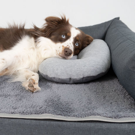 Kopfkissen für Hundebett