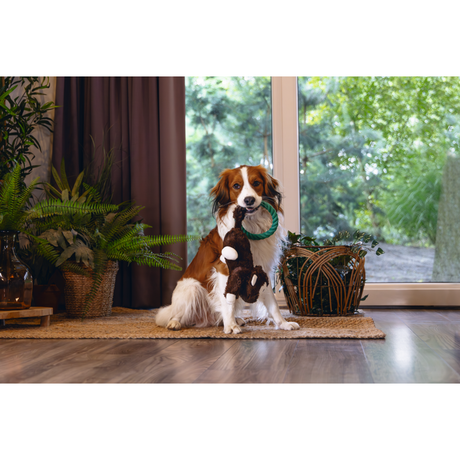 Plüsch-Seilspielzeug Dschungel Mats für Hunde – 44x15x12 cm