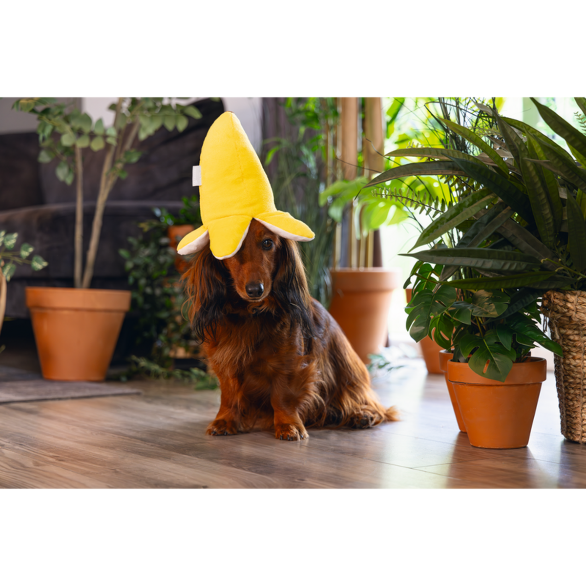2 in 1 Plüschspielzeug Dschungel Biba für Hunde – 31x26x11 cm