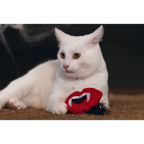 Halloween Dracula für Katzen – 20x10x3 cm