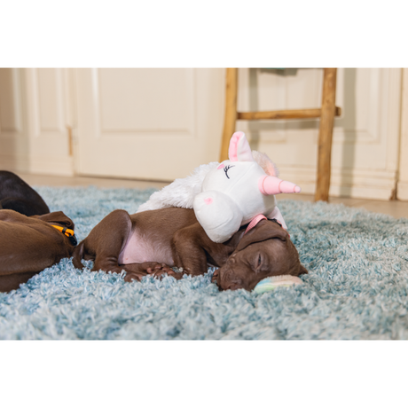 Puppy Welpen Spielzeug Flatino Einhorn