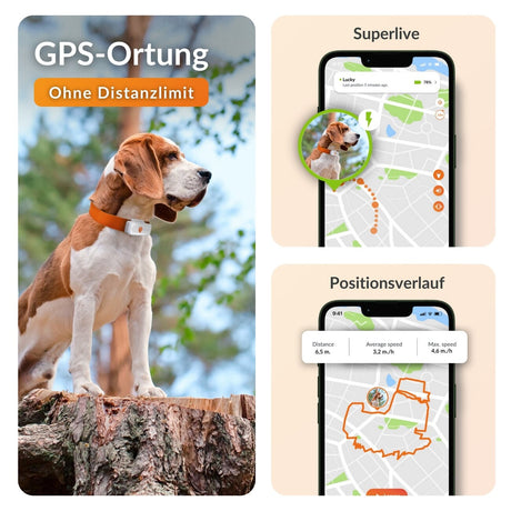 XS GPS Tracker für Hunde mit Lebenslanger Garantie