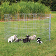 Welpengehege Freigehege für Welpen, Welpenauslauf, Hundefreilauf