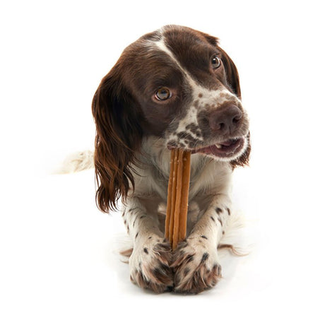 WHIMZEES Zahnpflege Stix Hundesnack