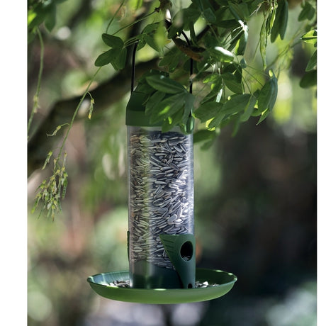 Wildvogel Außen-Futtersäule