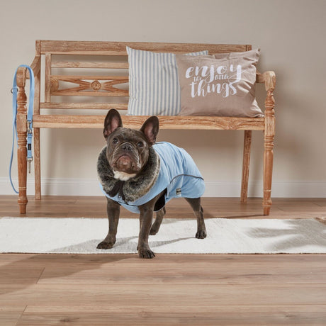 Winterjacke Amundsen für Mops&Co.