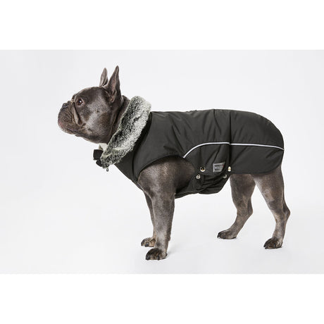 Winterjacke Amundsen für Mops&Co.