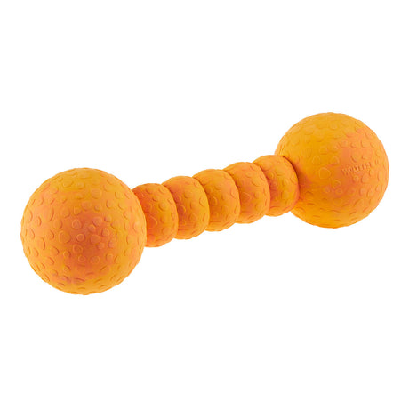 Wolters Aqua-Fun Gym Hundespielzeug