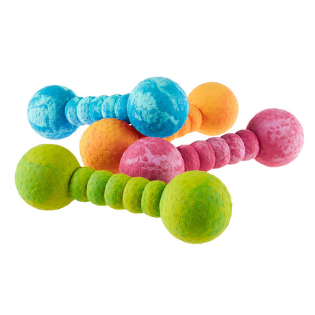 Wolters Aqua-Fun Gym Hundespielzeug