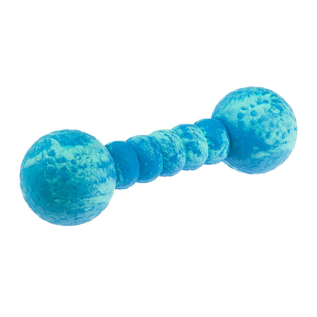 Wolters Aqua-Fun Gym Hundespielzeug