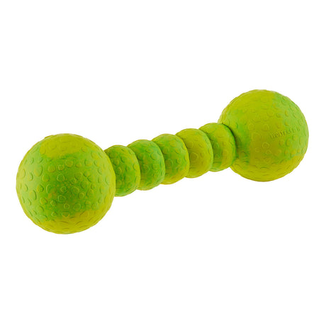 Wolters Aqua-Fun Gym Hundespielzeug