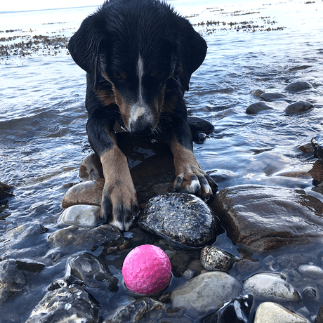 Wolters Aqua-Fun Wasserball Hundespielzeug