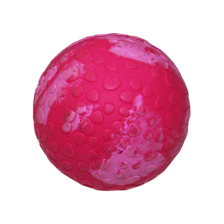 Wolters Aqua-Fun Wasserball Hundespielzeug