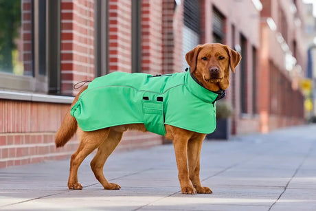 Cape Adventure Hundemantel, Winterjacke für Hunde