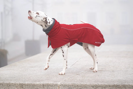 Cape Adventure Hundemantel, Winterjacke für Hunde