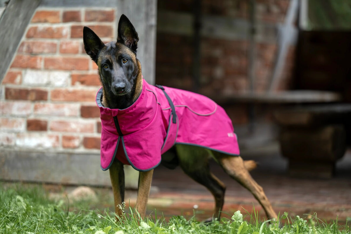 Cape Drizzle Ganzjahresmantel für Hunde
