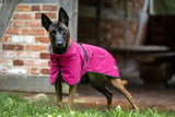 Cape Drizzle Ganzjahresmantel für Hunde