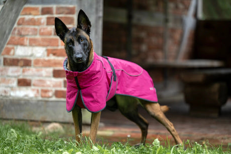 Cape Drizzle Ganzjahresmantel für Hunde