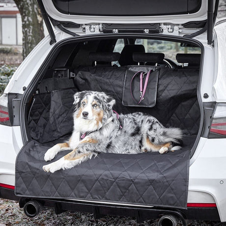 Clean Car Kofferraumdecke für Hunde