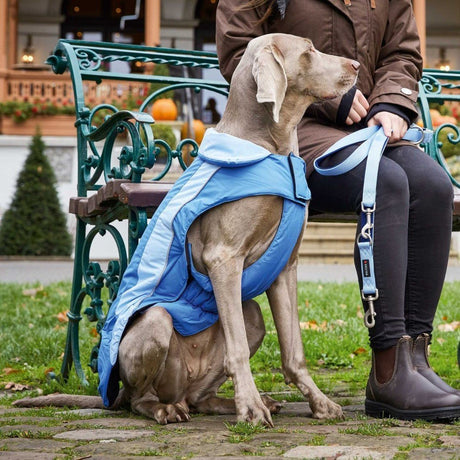 Wolters Dogzwear Skijacke Winterjacke für Hunde