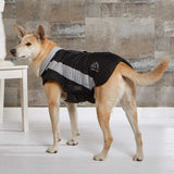 Wolters Dogzwear Skijacke Winterjacke für Hunde