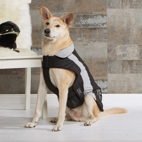 Wolters Dogzwear Skijacke Winterjacke für Hunde