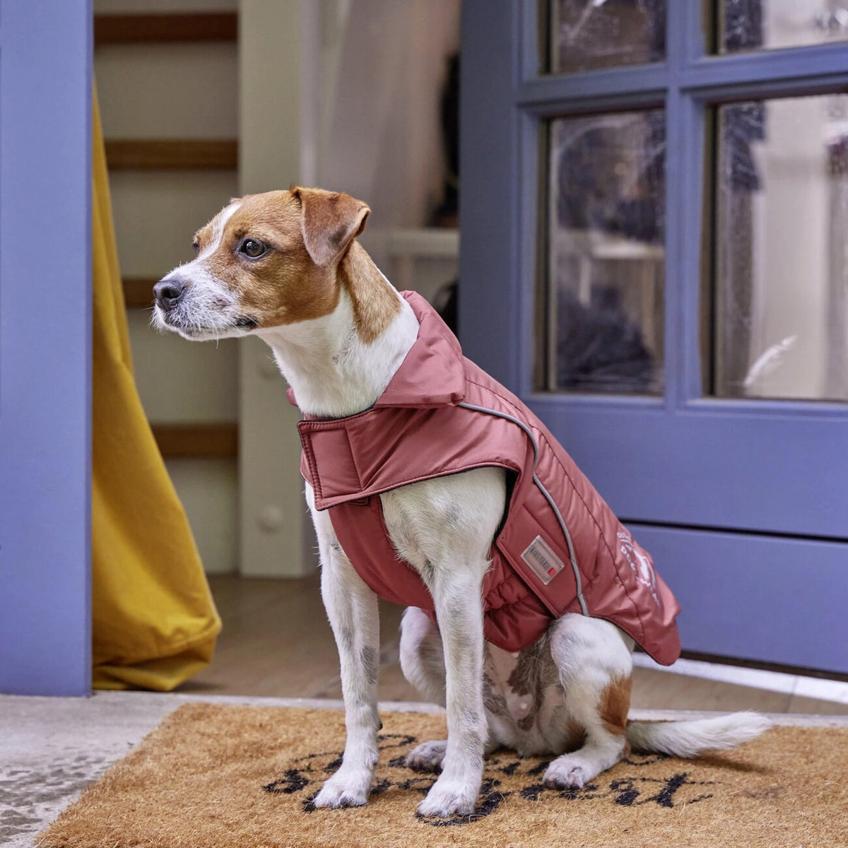 Wolters Dogzwear Skijacke Winterjacke für Hunde