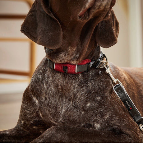Halsband Active Pro Comfort