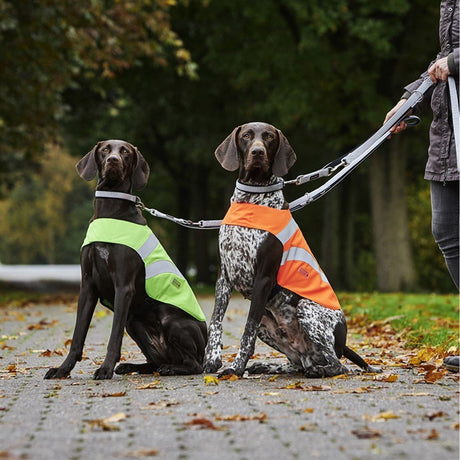 Hunde Sicherheitsweste Security