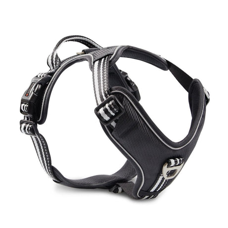 Hundegeschirr Active Pro