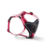 Wolters Hundegeschirr gepolstert Professional Comfort