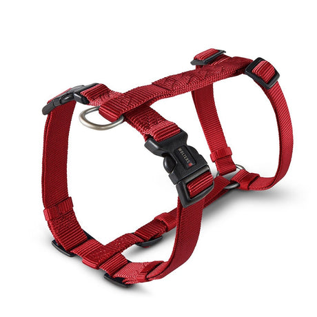 Hundegeschirr Professional Nylon