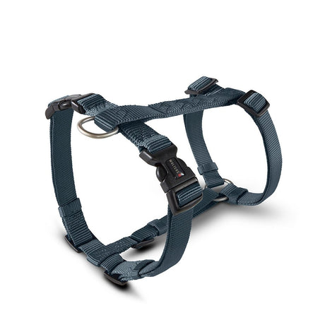 Hundegeschirr Professional Nylon