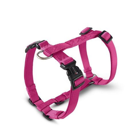 Hundegeschirr Professional Nylon
