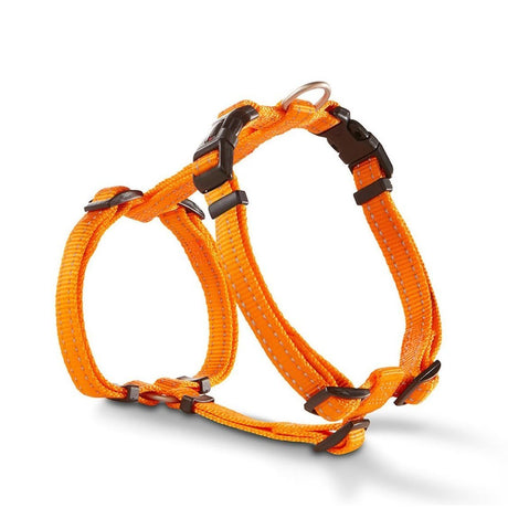 Wolters Hundegeschirr Soft & Safe für Mops & Co