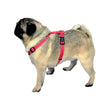 Wolters Hundegeschirr Soft & Safe für Mops & Co
