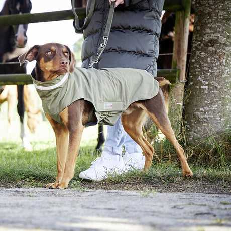 Outdoorjacke Modern Classic