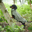 Outdoorjacke Modern Classic für Dackel