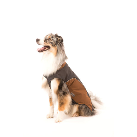 Wolters Regenjacke für Hunde Easy Rain