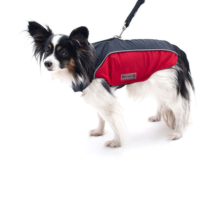 Wolters Regenjacke für Hunde Easy Rain