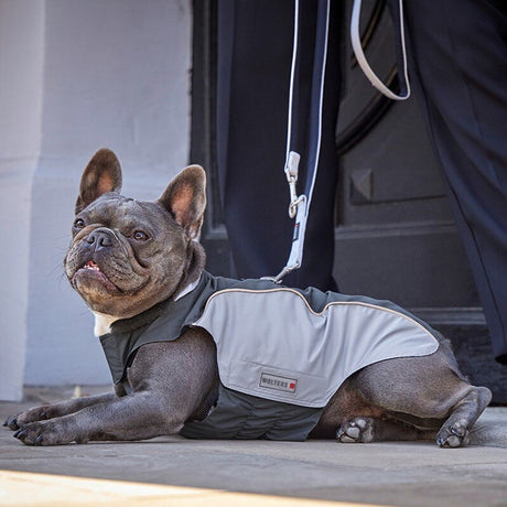 Wolters Regenjacke für Hunde Easy Rain