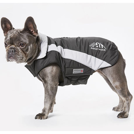 Skijacke Dogz Wear für Mops & Co.