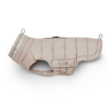 Steppjacke Hund Cosy