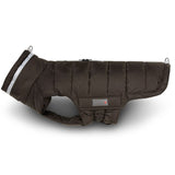 Steppjacke Hund Cosy
