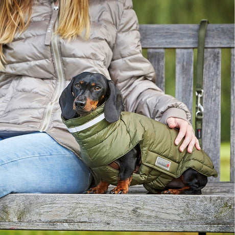 Steppjacke Cosy für Dackel