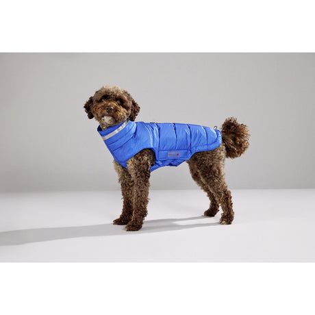 Steppjacke Hund Cosy