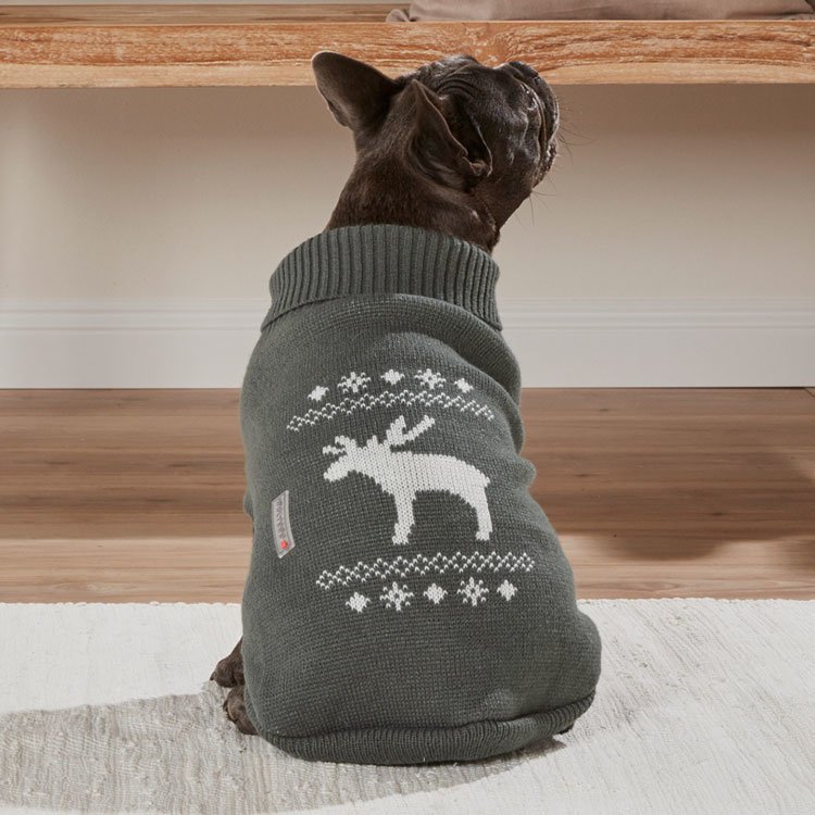 Wolters Strickpullover Elch für Mops & Co