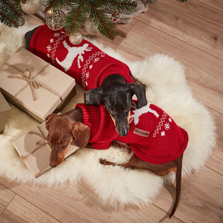 Wolters Strickpullover für Hunde mit Elch Motiv