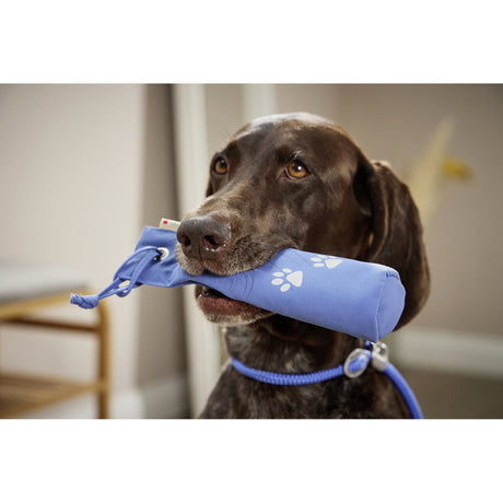 Walkie Dummy zur Ausbildung