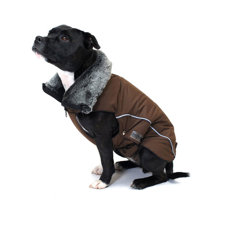 Wolters Winterjacke für Hunde Amundsen